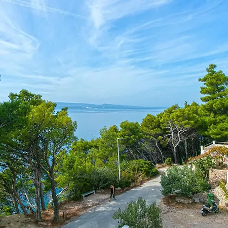 Seaside With A Swimming Pool Brela, Makarska - 19834 Appartement *